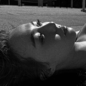 turbothepoodle